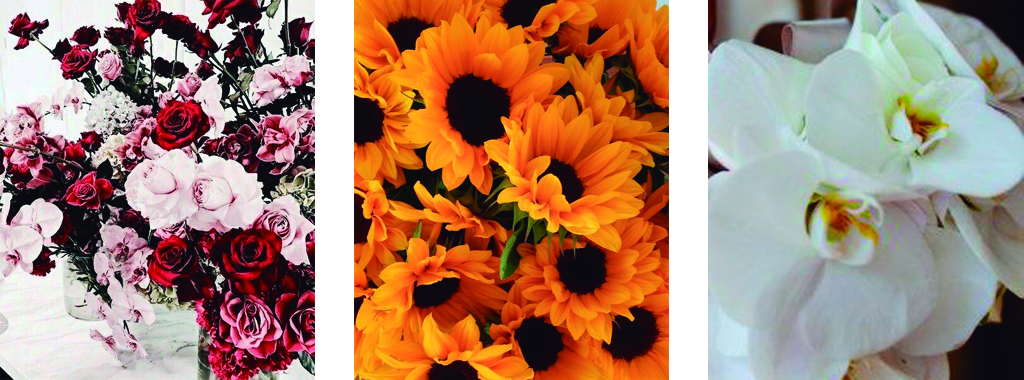 Personalidad flores