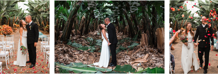 fotografo de boda